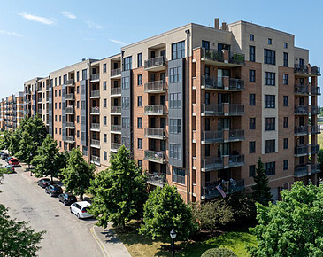 Multi-Family Unit Windows